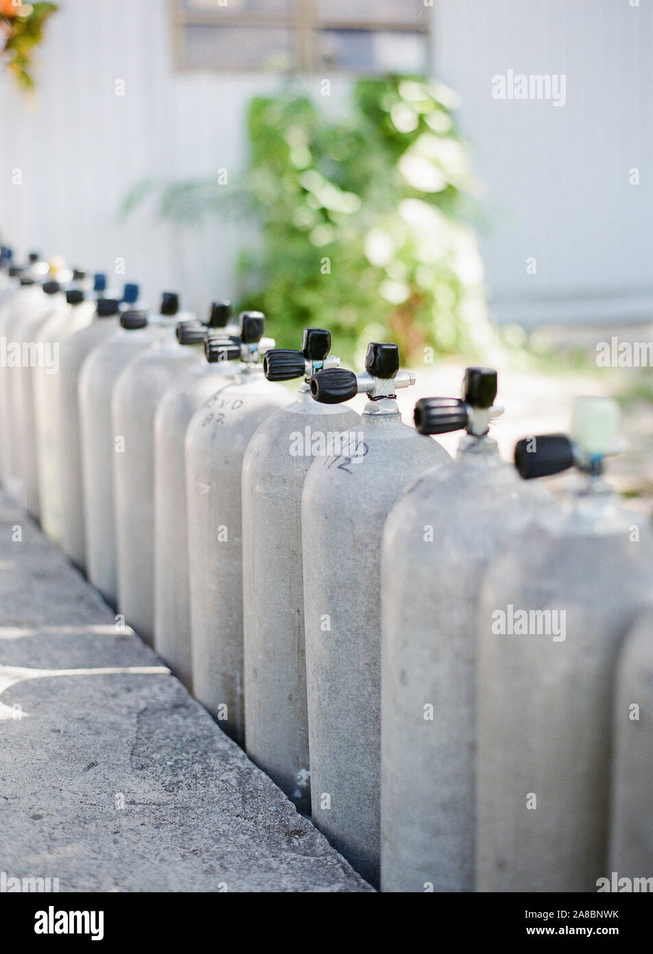 Scuba diving tanks lined up on the dock at Pusser's Rum Bar on Marina Cay, British Virgin Islands, Caribbean Stock Photo