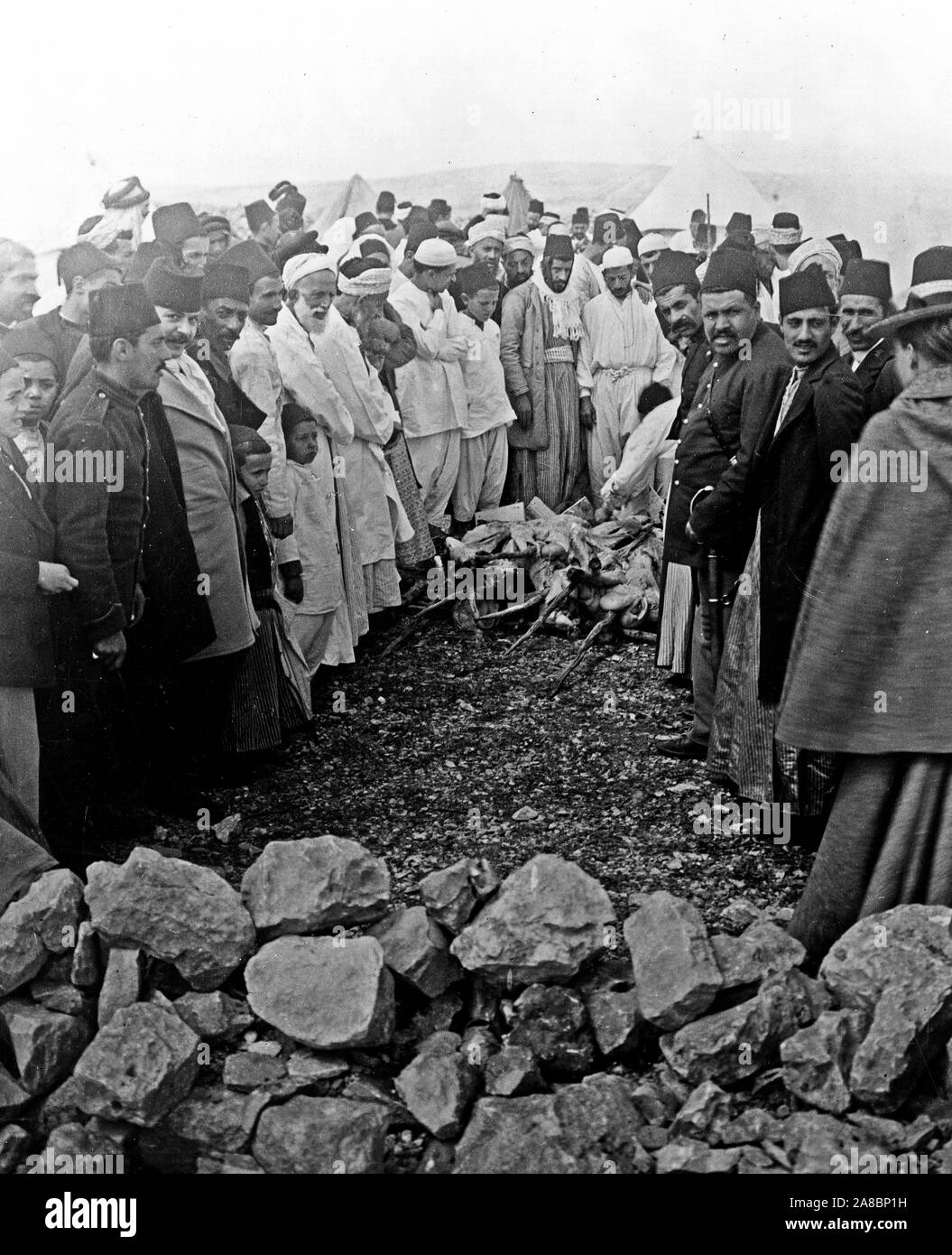 Samaritans around meat being cooked over open fire, Mount Gerizim, West Bank. Feast of the Passover 1880-1922 Stock Photo