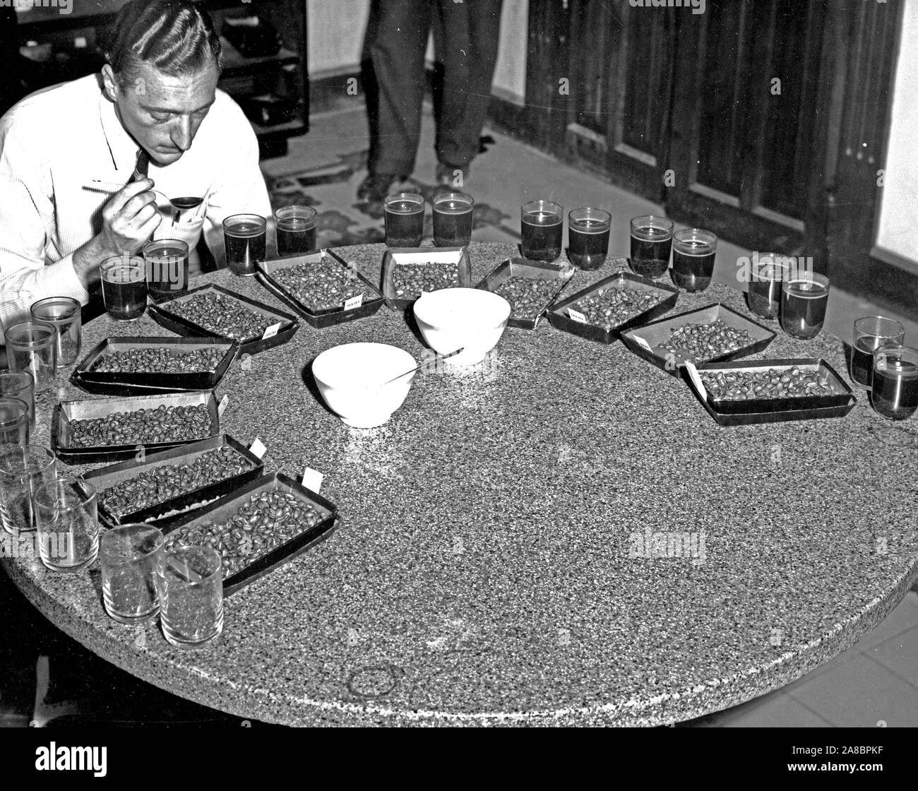 Coffee samples from various areas are being tested for taste and aroma by Sr. Aldo Cabella. Oficina Central de Cafe, Guatemala City, Guatemala.1947 Stock Photo