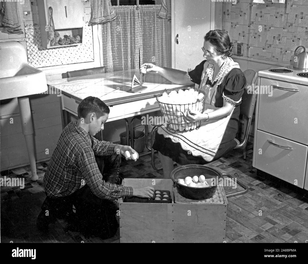 Farmers' wife in  Delaware County, N.Y. weighs eggs to be marketed, so that they may be correctly graded. Her 11-year-old son, carefully places in the crate the eggs that pass the weighing test.  1941 Stock Photo