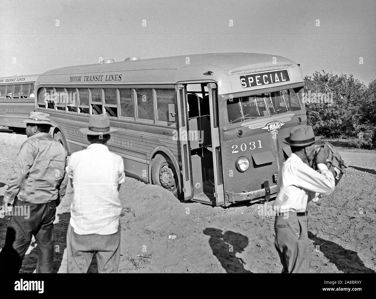 Poston, Arizona. This bus, bringing evacuees of Japanese ancestry to the Colorado River Relocation center has become sand bound near its destination  ca. 5/25/1942 Stock Photo