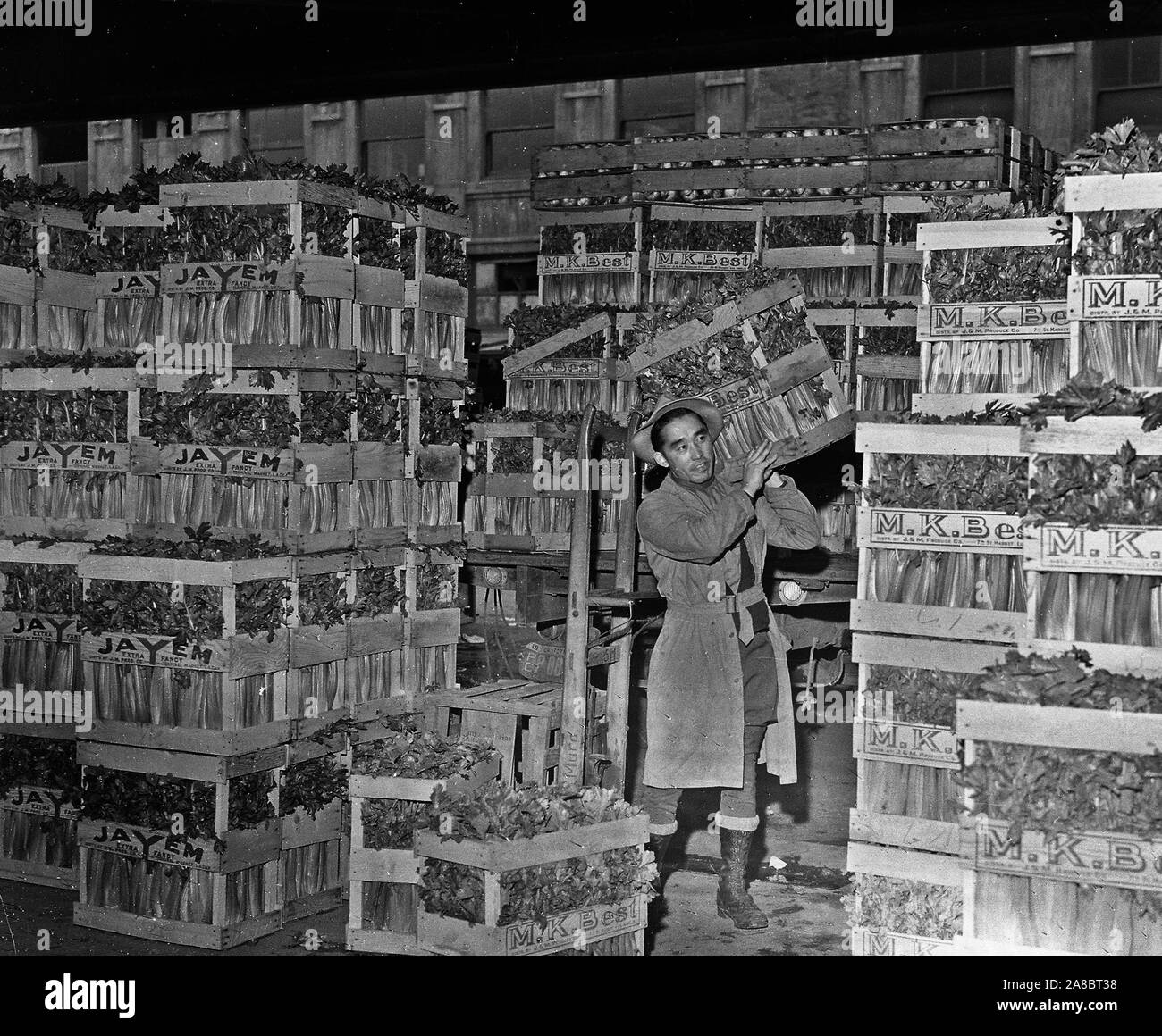 Los Angeles, California. Celery section of central produce market, Los Angeles operated almost exclusively, before evacuation, by residents of Japanese ancestry 4/11/1942 Stock Photo