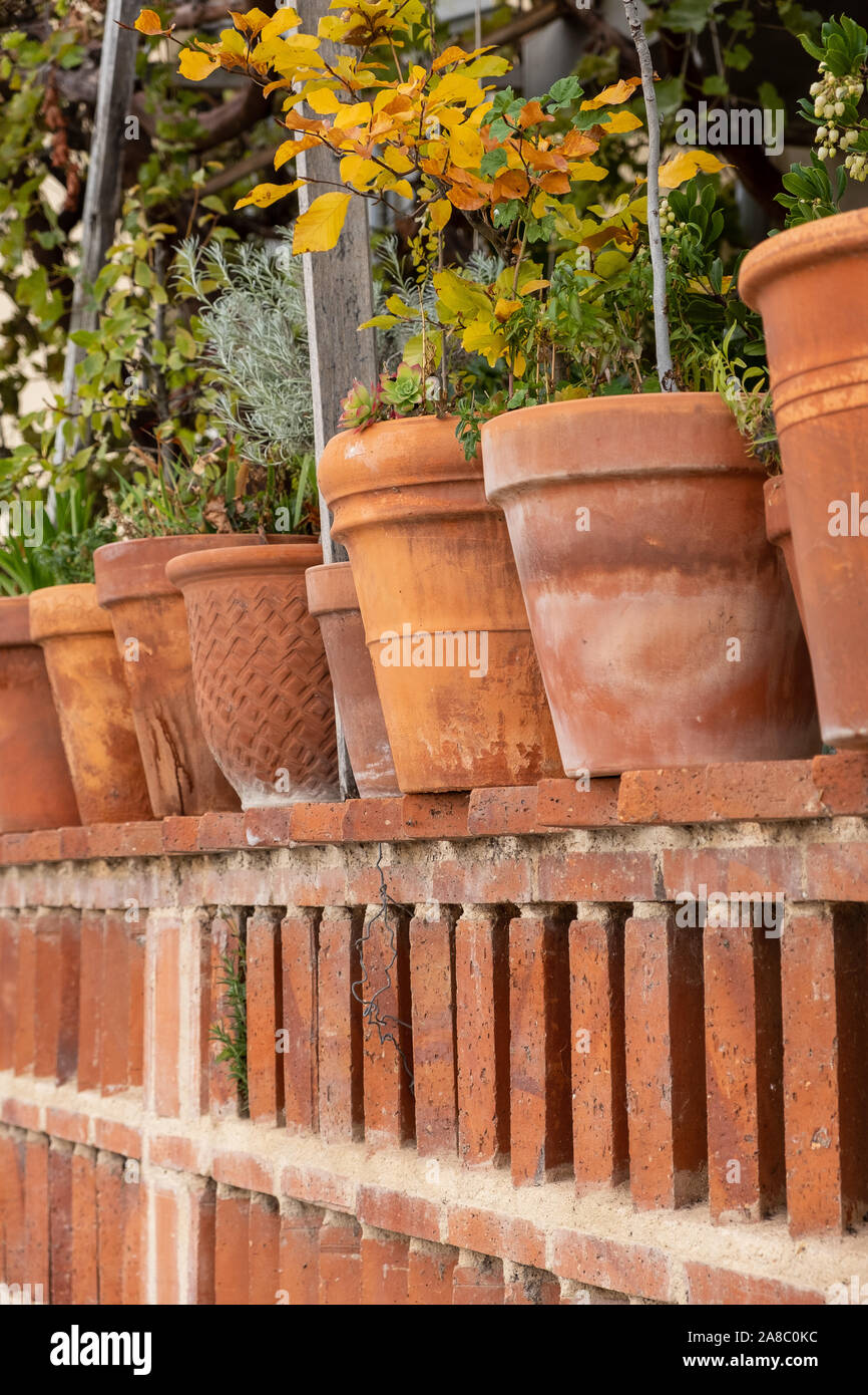 pots on a brick fence in autumn Stock Photo