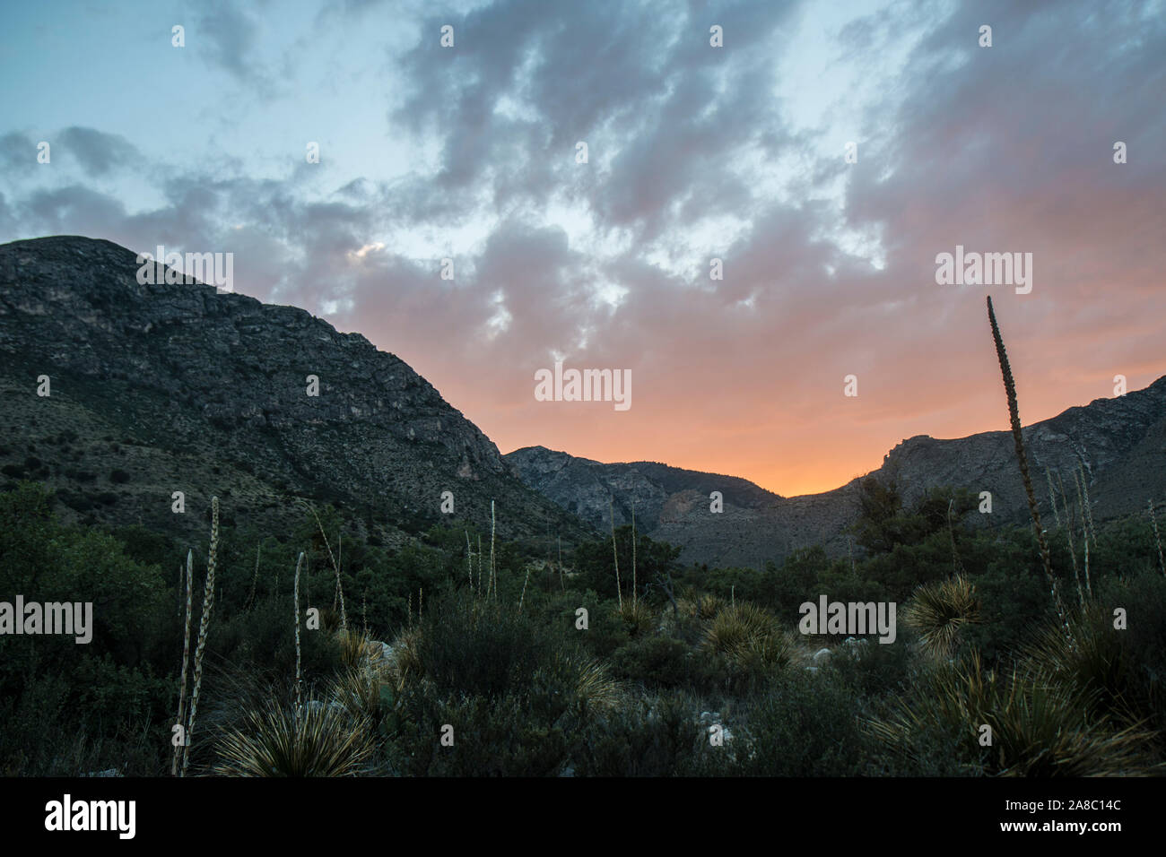 Landscape view of the sunset in Guadalupe Mountains National Park in