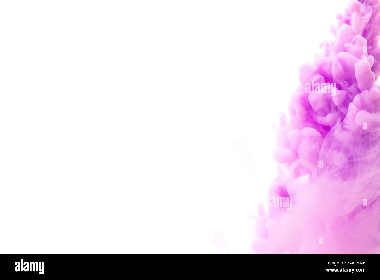 Abstract flowing liquid or purple ink in water on a white background ...