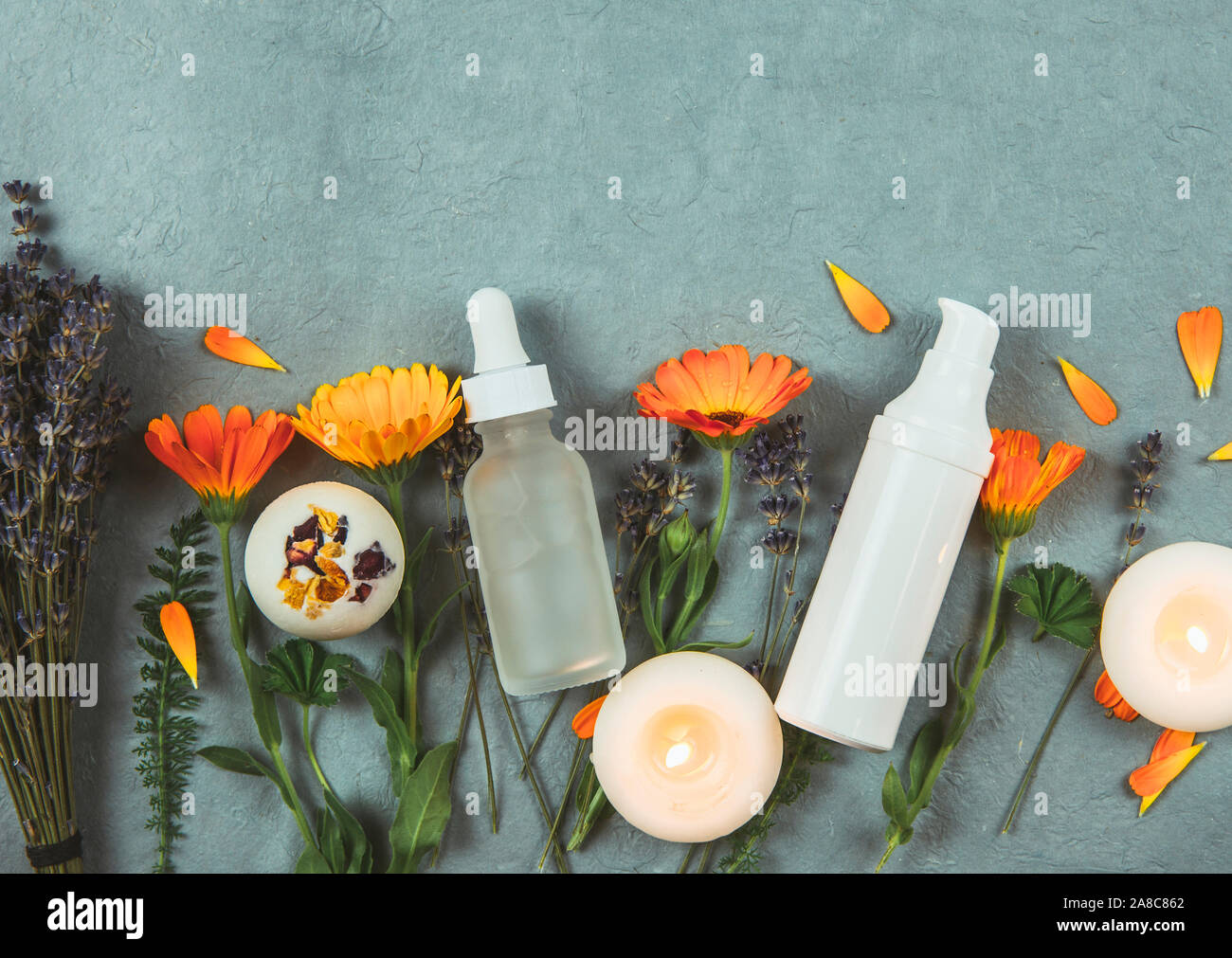 Organic plant based cosmetics concept. Top view of various herbs plants