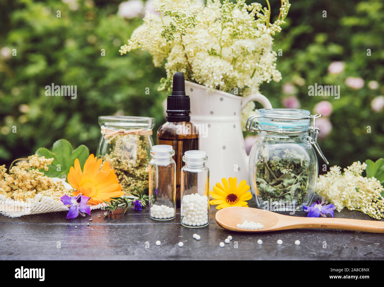 Homeopathic medicine pills on wood table, globules in jars and on wood spoon, decorated with fresh and dry various herbal plants outdoors in summer, g Stock Photo