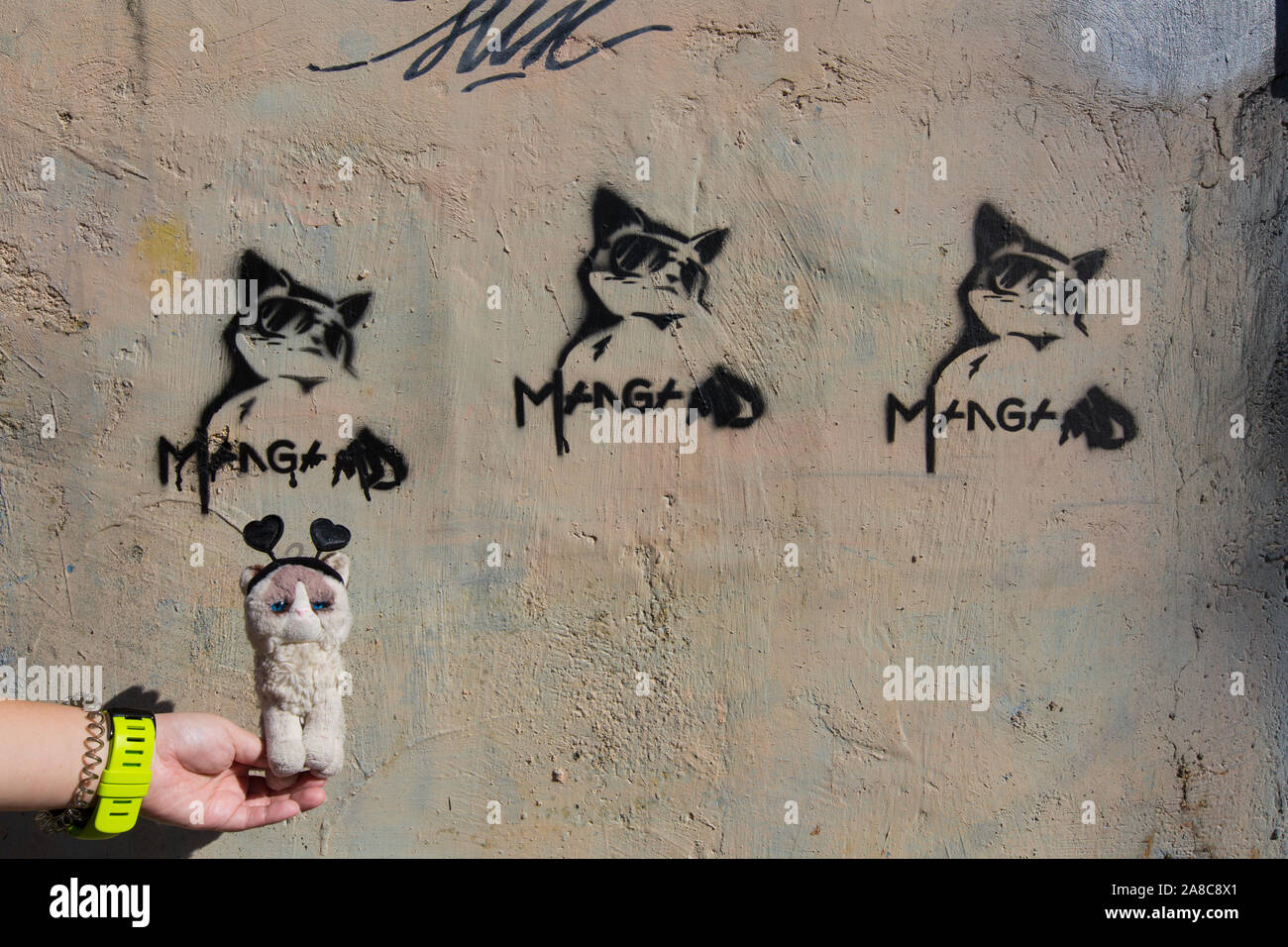 Cat's art graffiti on wall and Grumpy's plushy Stock Photo