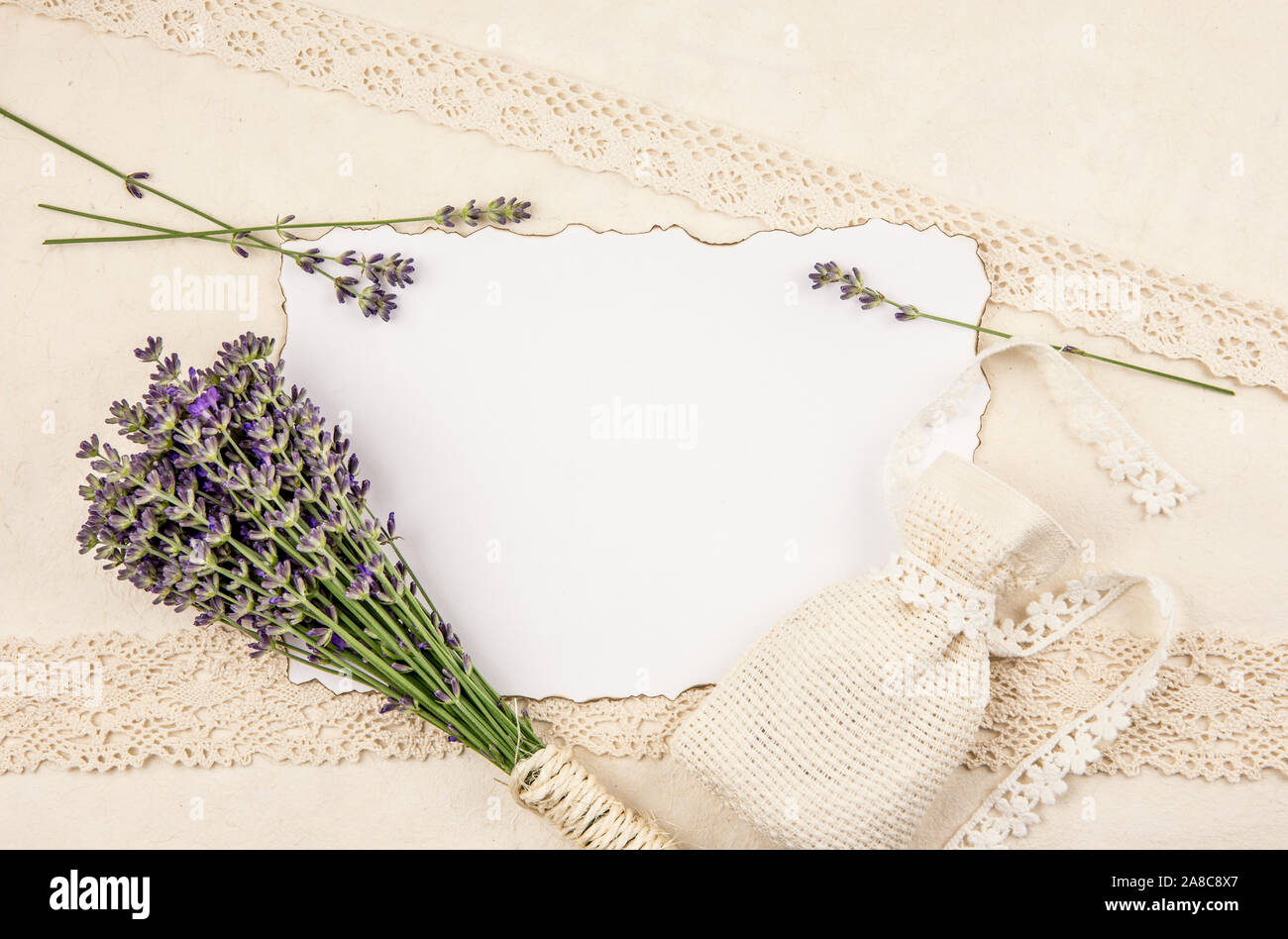 Top view of white empty sheet of paper with burned edges and surrounded by fresh lavender branches and scented dry lavender bag sachet on old beige pa Stock Photo