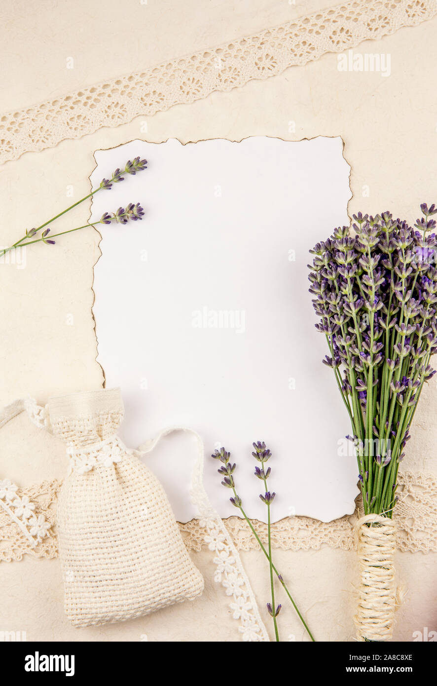 Top view of white empty sheet of paper with burned edges and surrounded by fresh lavender branches and scented dry lavender bag sachet on old beige pa Stock Photo