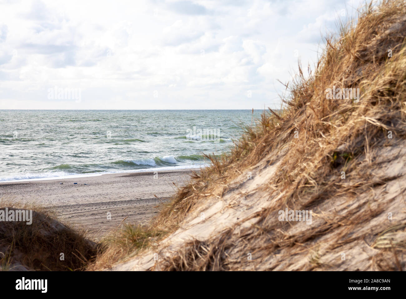 View on the beach from the sand dunes in the Netherlands Stock Photo ...