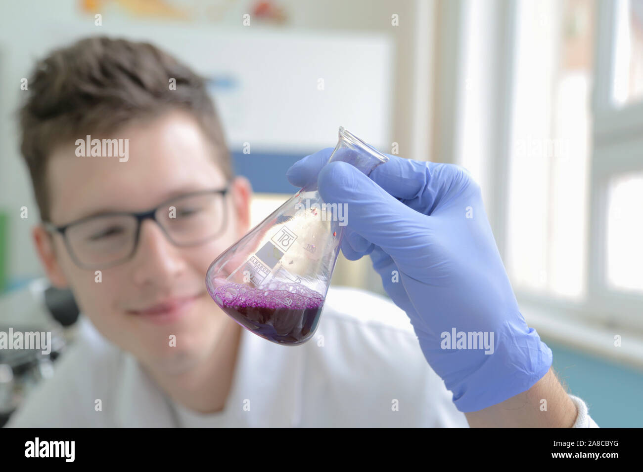 Two Young male Laboratory scientists working at lab with test tubes and ...