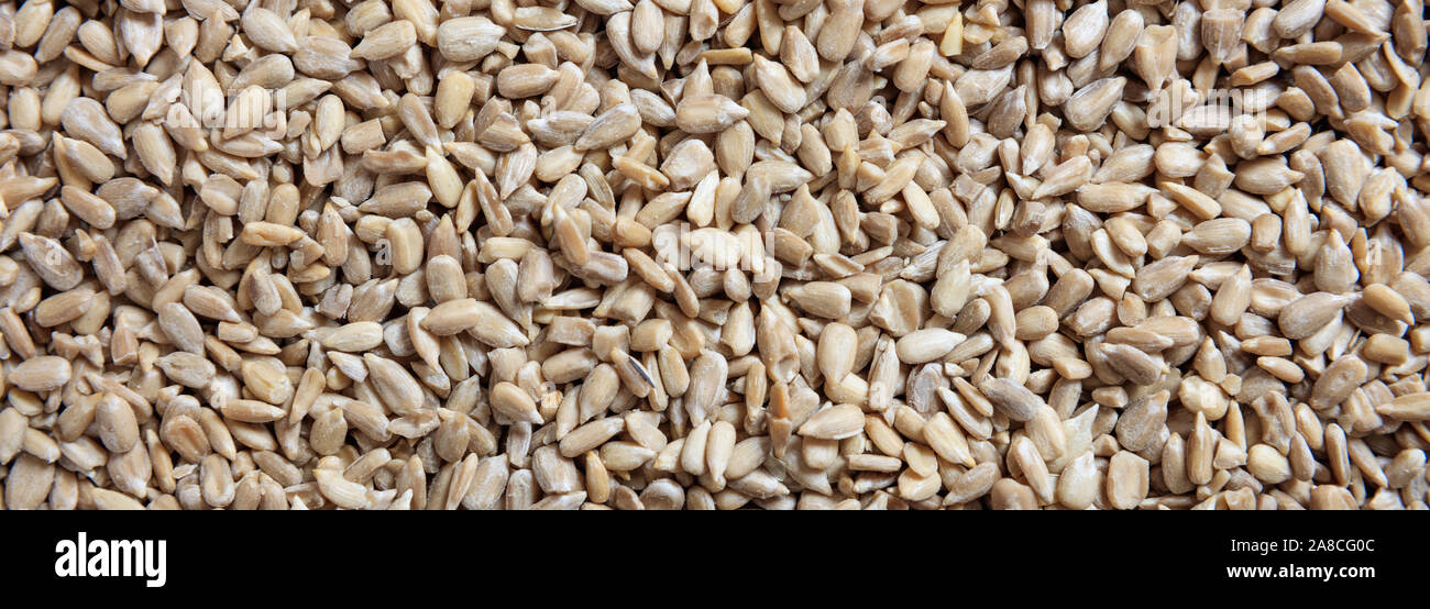 Sunflower seeds peeled full background texture, banner, top view, Stock Photo
