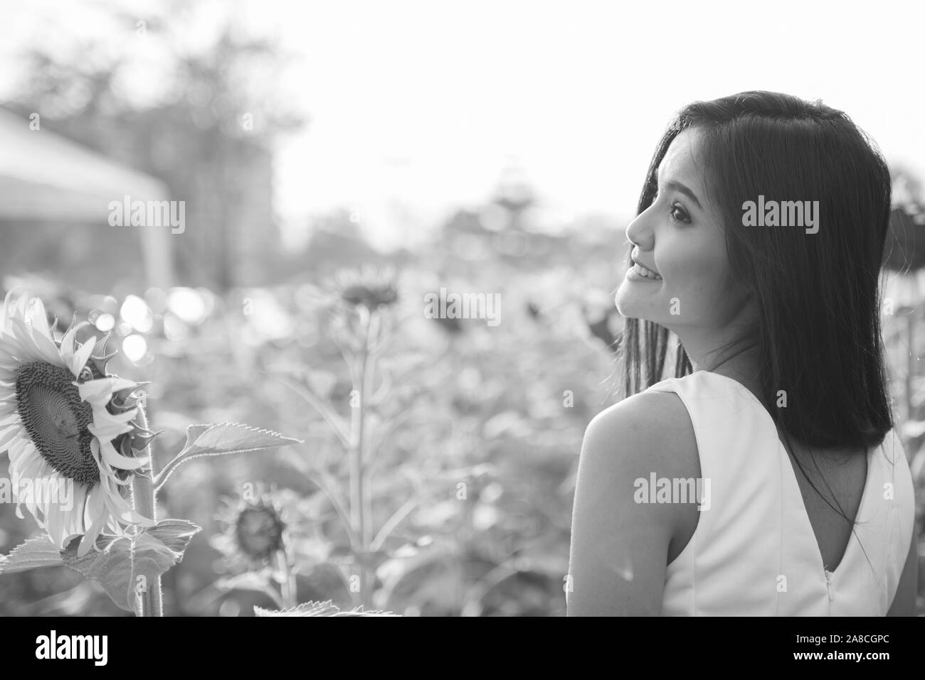 Profile view of young happy Asian woman smiling and thinking in the field of blooming sunflowers Stock Photo