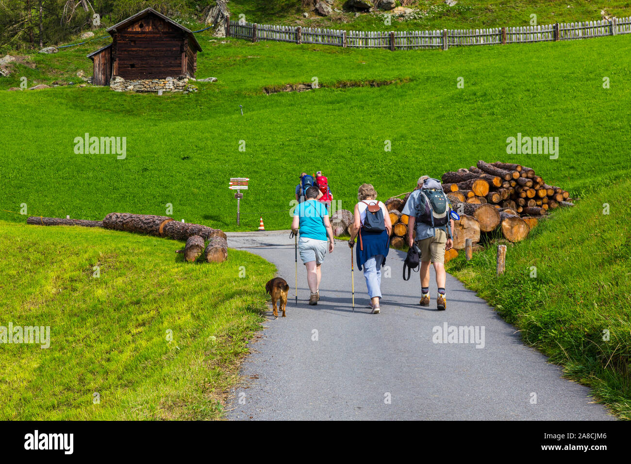 Hiking in Alps Stock Photo - Alamy
