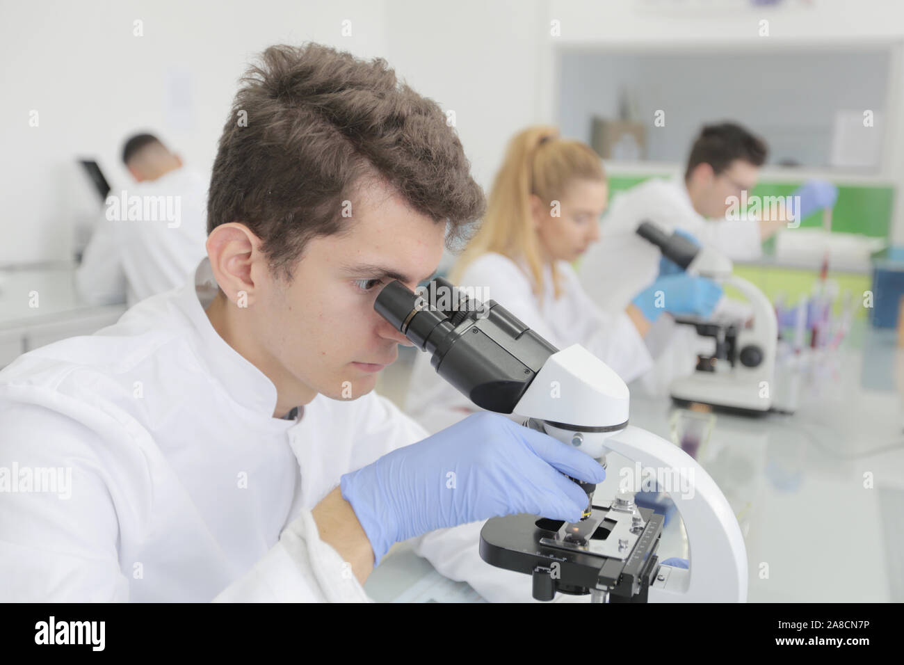 Group of young Laboratory scientists working at lab with test tubes and ...