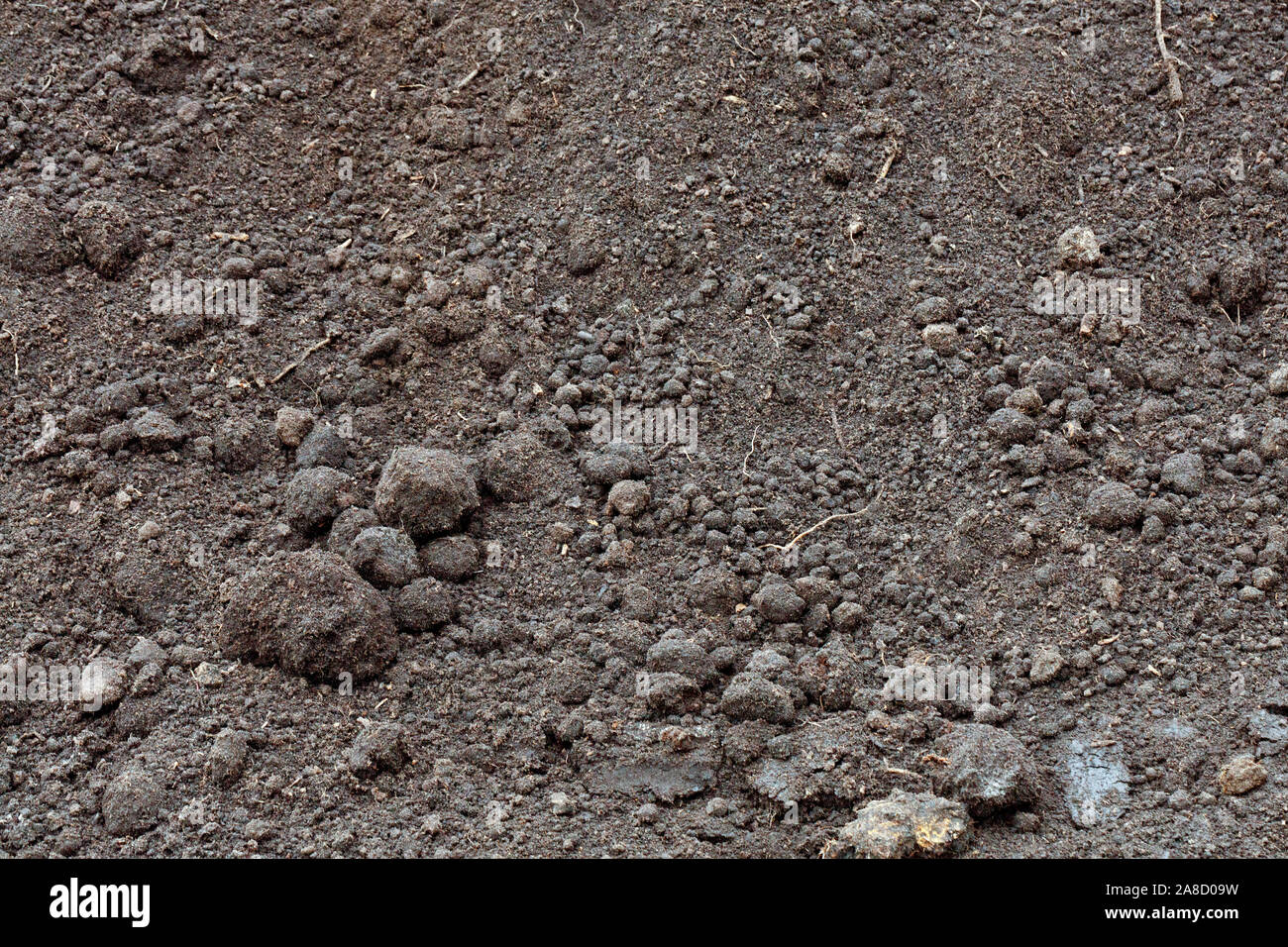 Cultivated Field Wet Soil High Resolution Stock Photography and Images ...