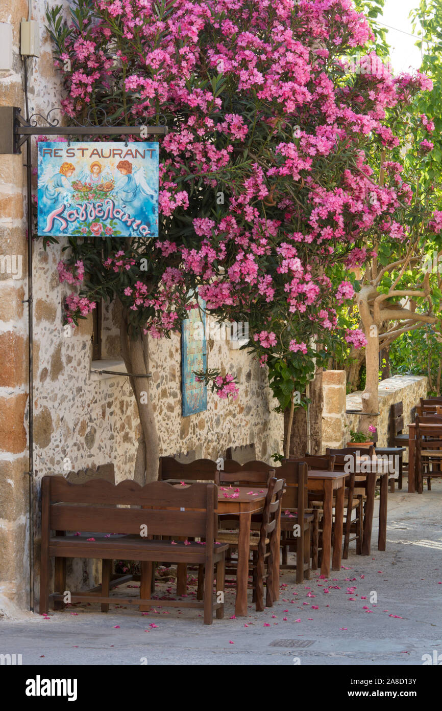Palaiochora, Chania, Crete, Greece. Taverna tables beneath flowering oleander bush. Stock Photo