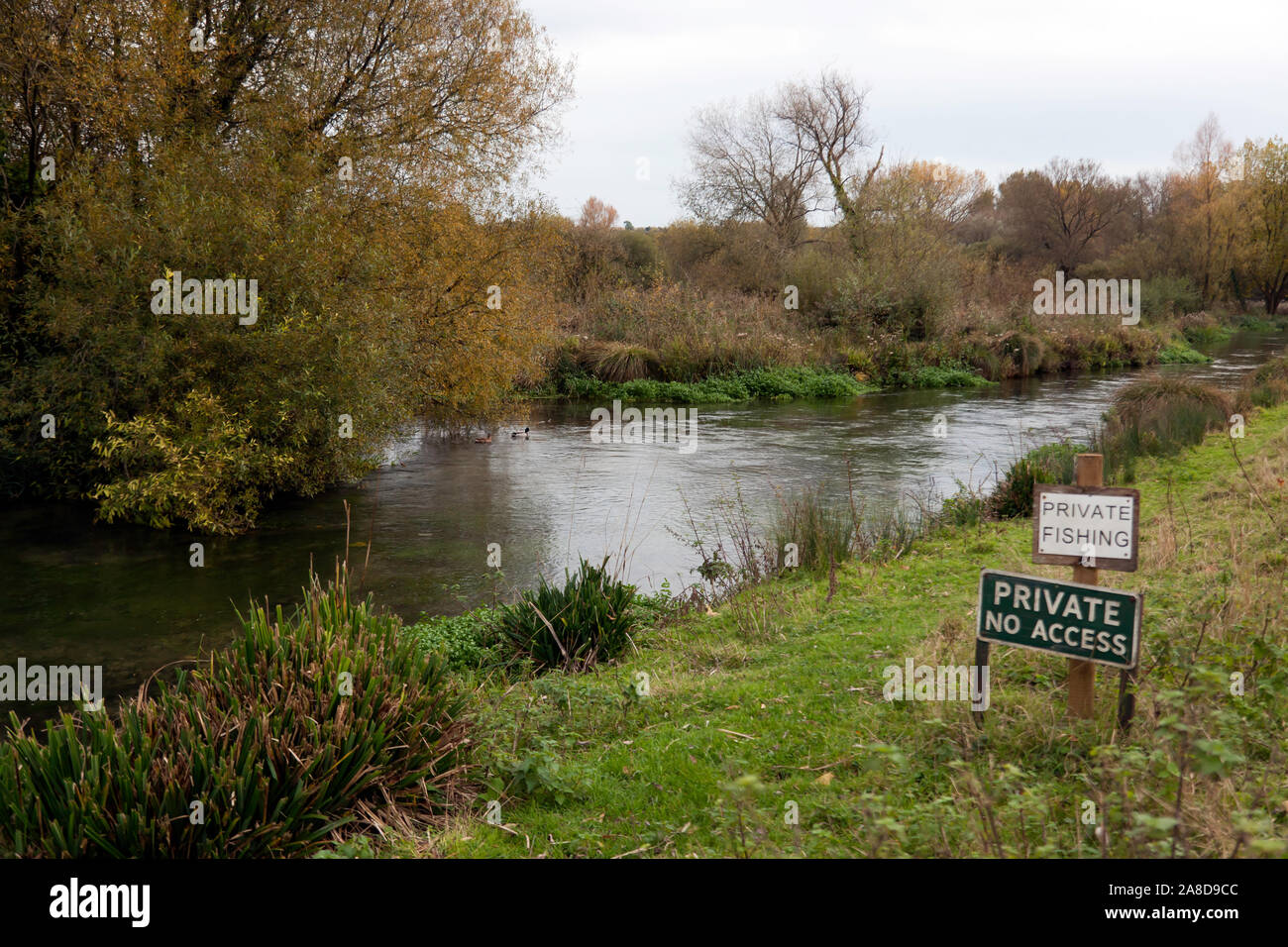 A section of the River Itchen, near Winchester, Hampshire Stock Photo