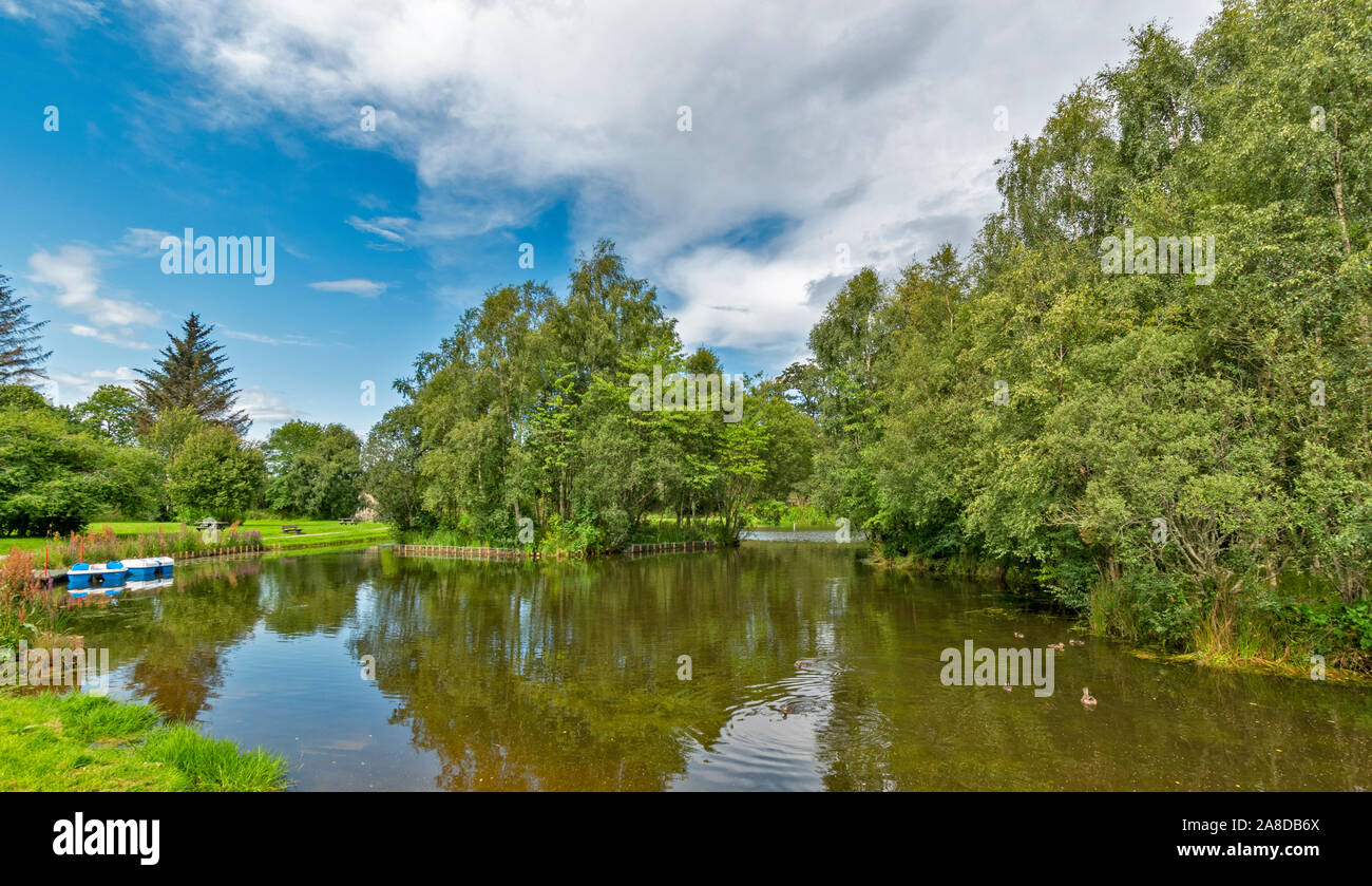 Pedalo boats hires stock photography and images Alamy