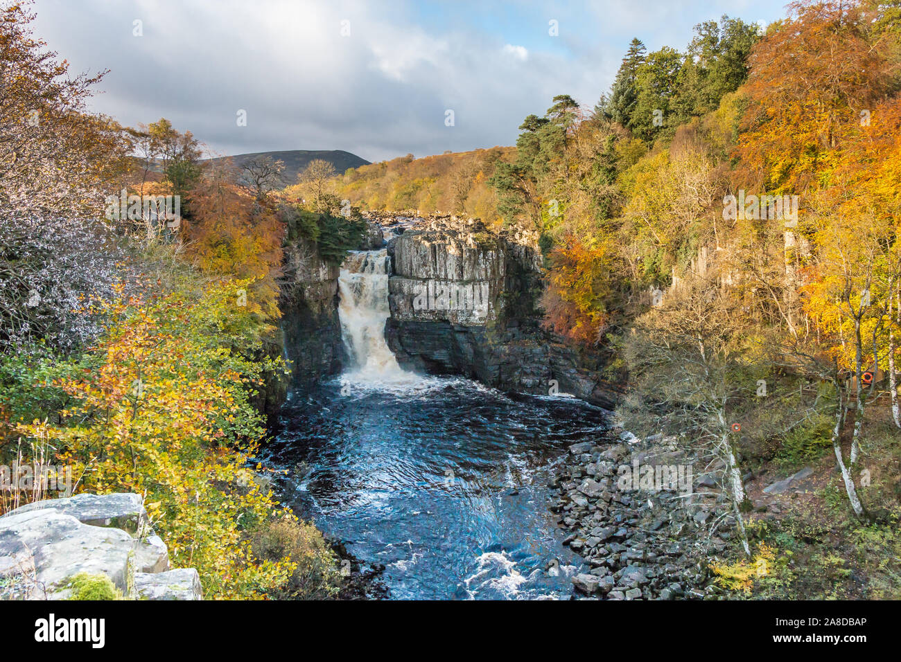 Vivid autumn colours at High Force Waterfall, Upper Teesdale, UK Stock Photo