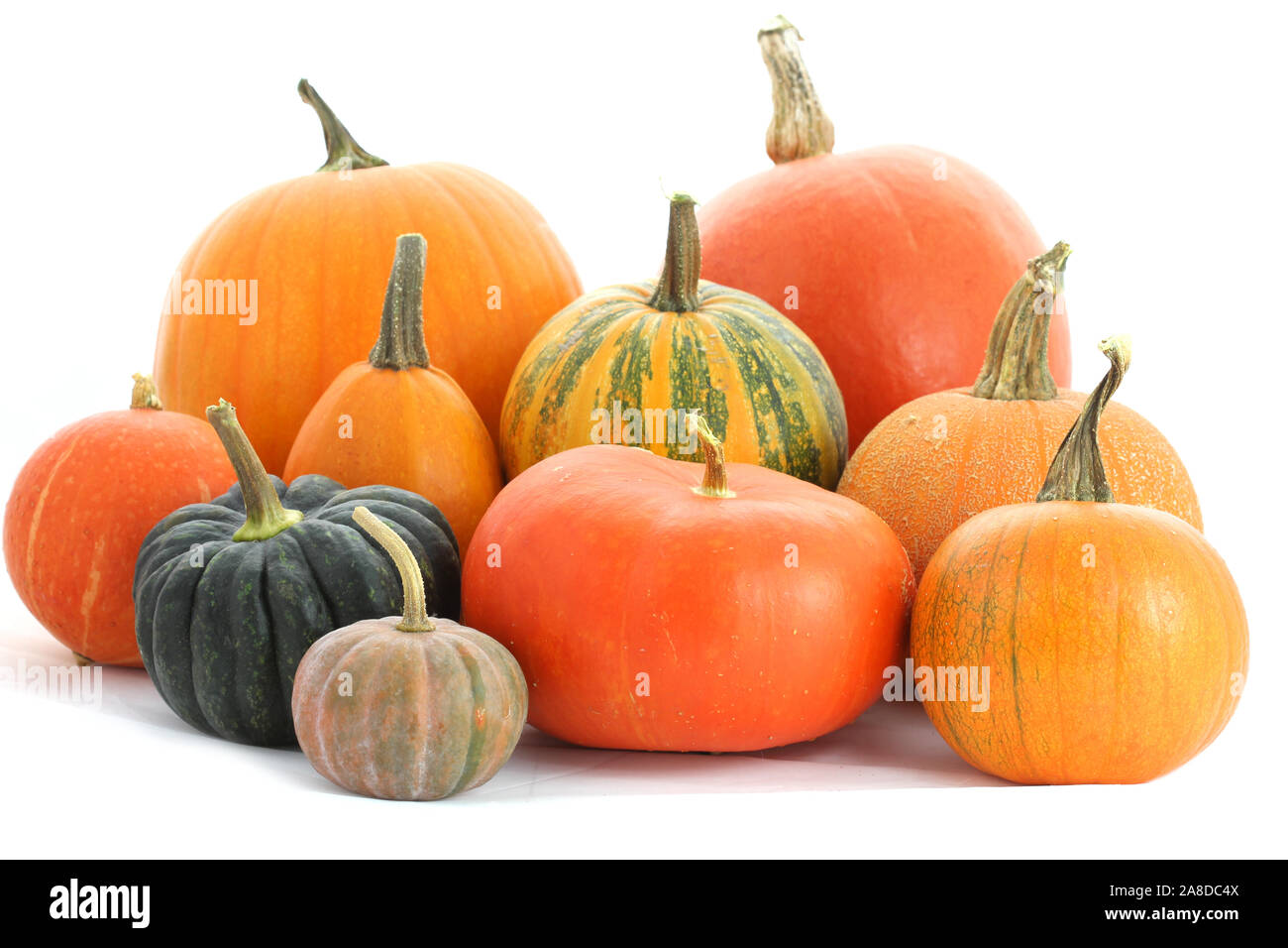 Pumpkins family. Group of fruits isolated on white Stock Photo