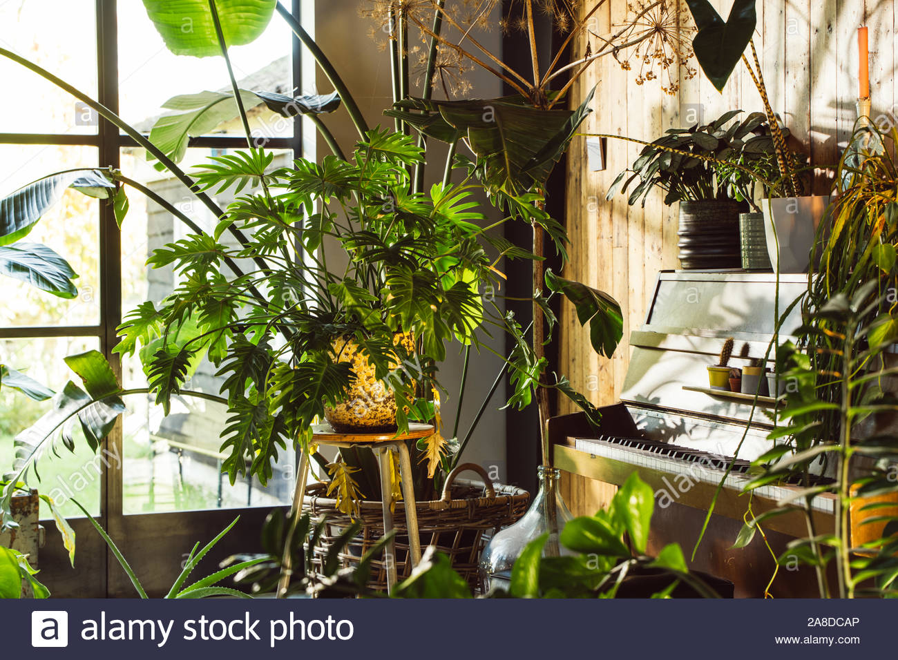 Interior Of A Modern Scandianvian Or Cabin Lodge Style House