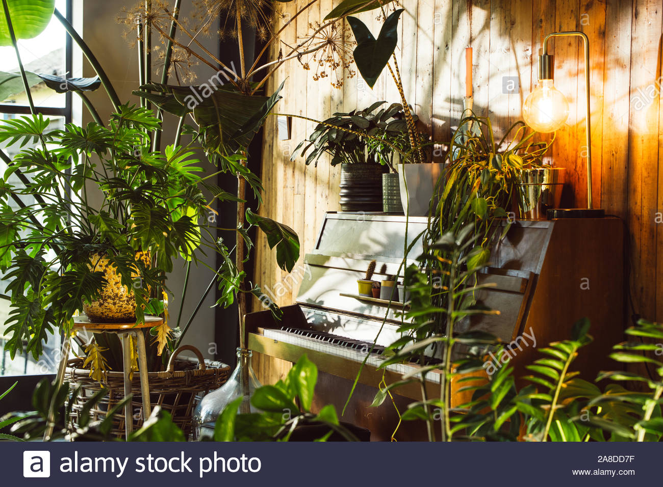 Interior Of A Modern Scandianvian Or Cabin Lodge Style House