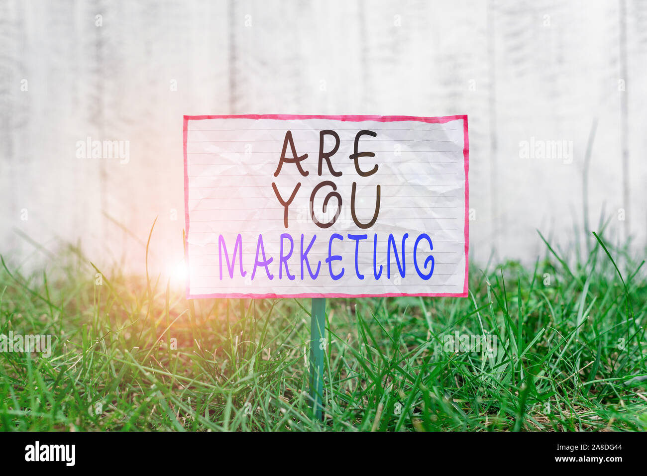 Text sign showing Are You Marketing. Business photo text Actions to ...