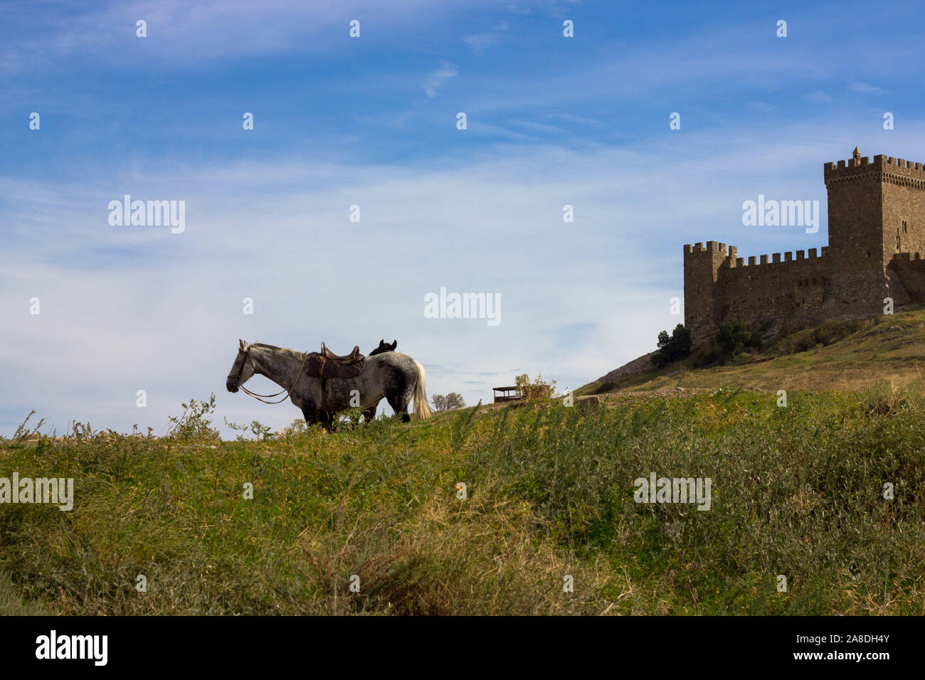 Two horses on a green meadow against a background of Genuezskaya Krepost' Kaffa, Crimea of mountains and blue sky Stock Photo