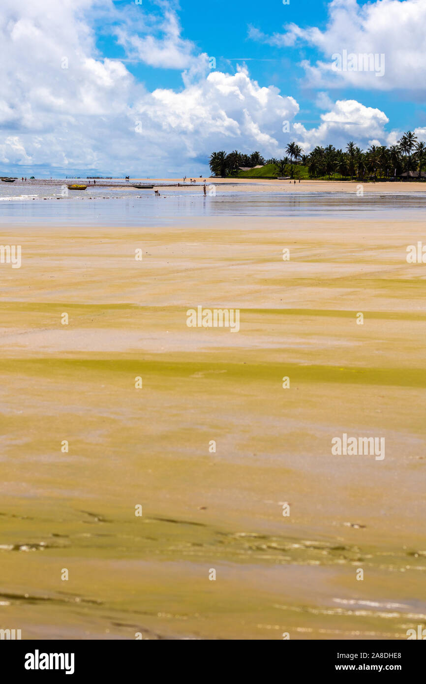 sandy beach in northeast brazil Stock Photo