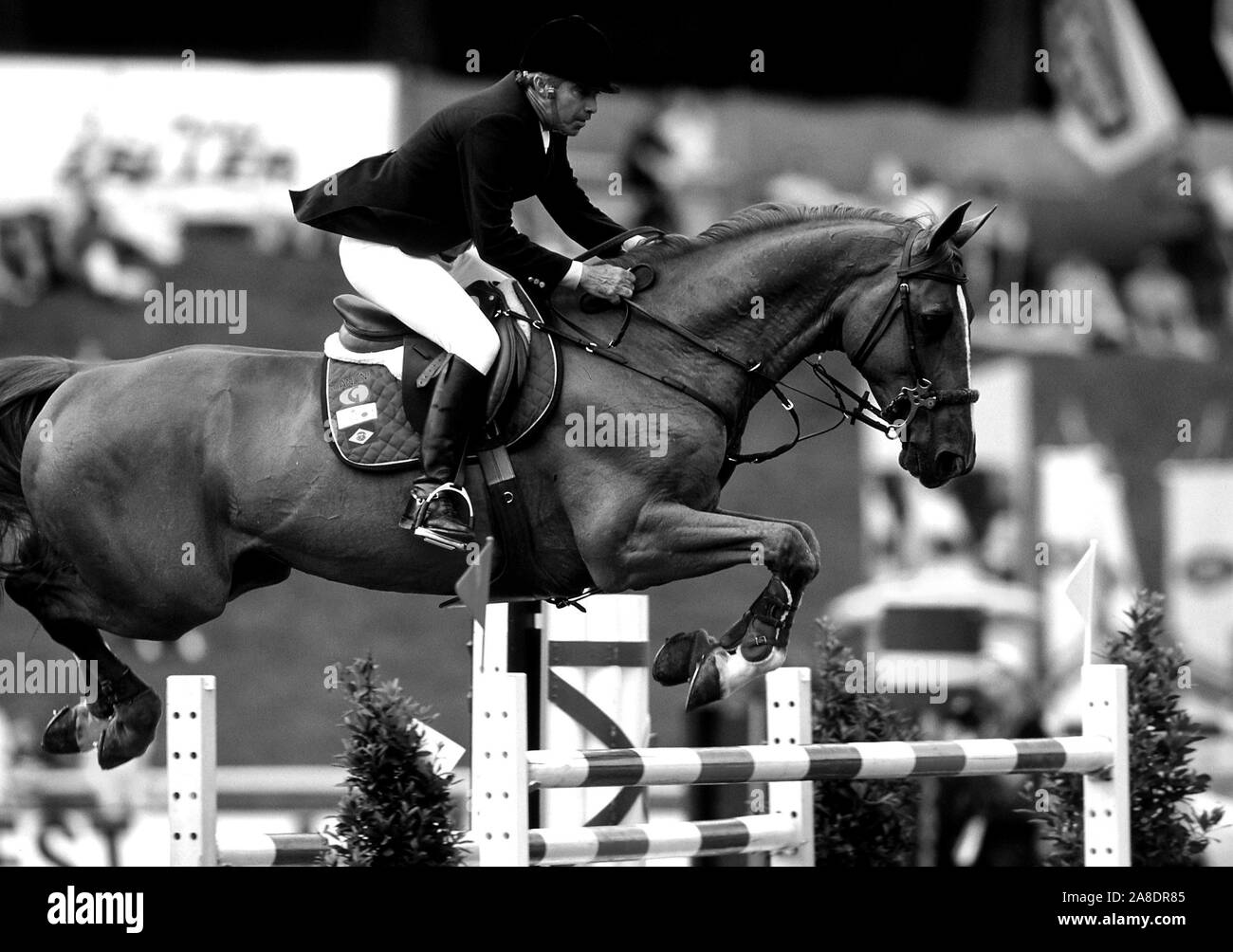 CSIO St. Gallen, May 1999 Nelson Pessoa (BRA) riding Gandini Baloubet du  Rouet Stock Photo - Alamy