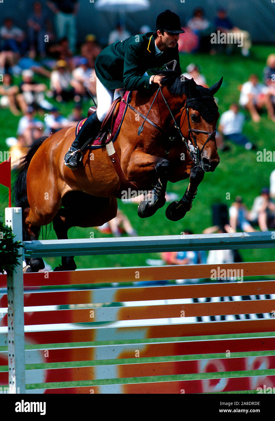CSIO St. Gallen, May 1999 Rodrigo Pessoa (BRA) riding Gandini Lianos Stock  Photo - Alamy