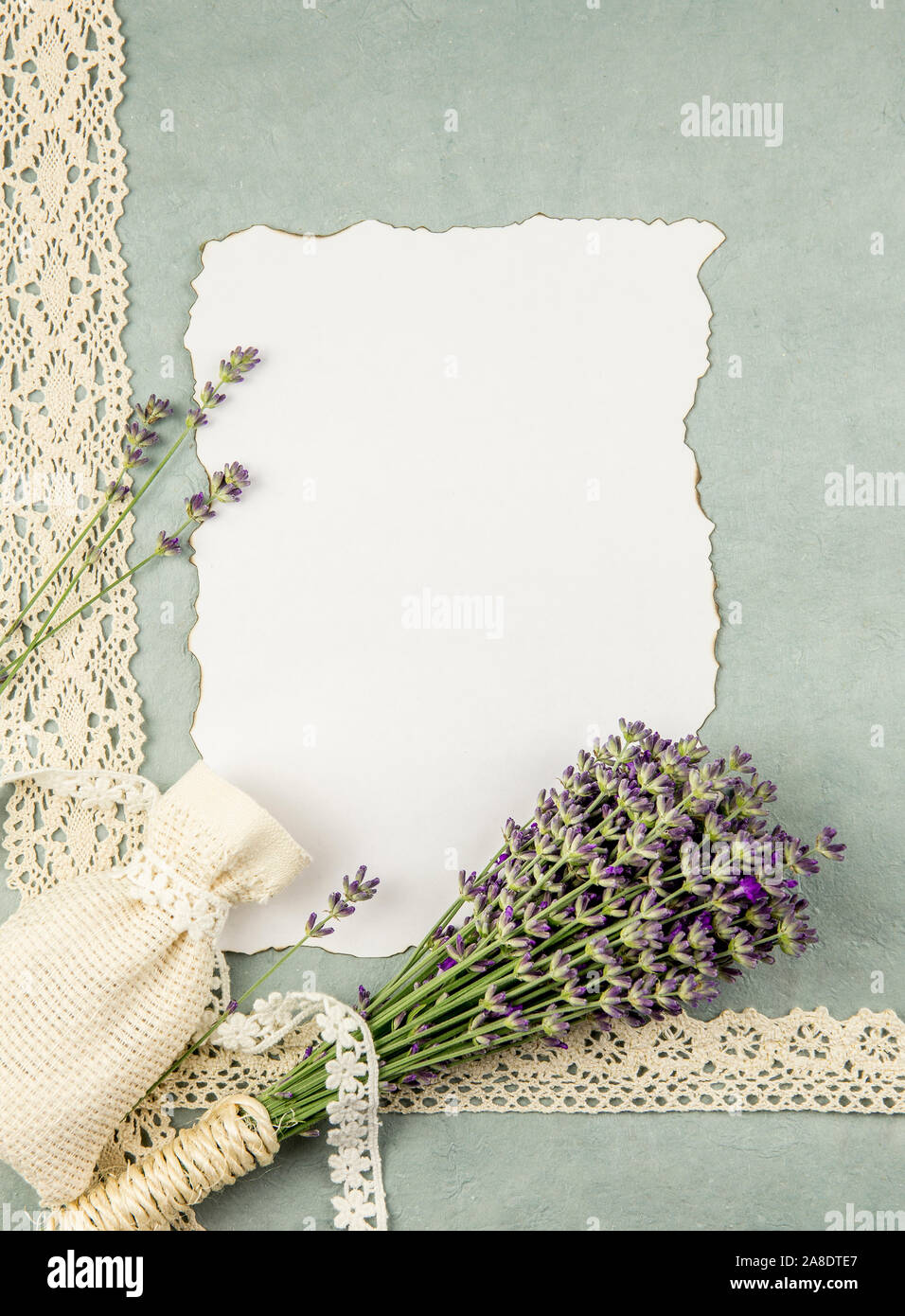 https://c8.alamy.com/comp/2A8DTE7/top-view-of-white-empty-sheet-of-paper-with-burned-edges-and-surrounded-by-fresh-lavender-branches-and-scented-dry-lavender-bag-sachet-on-old-blue-pap-2A8DTE7.jpg