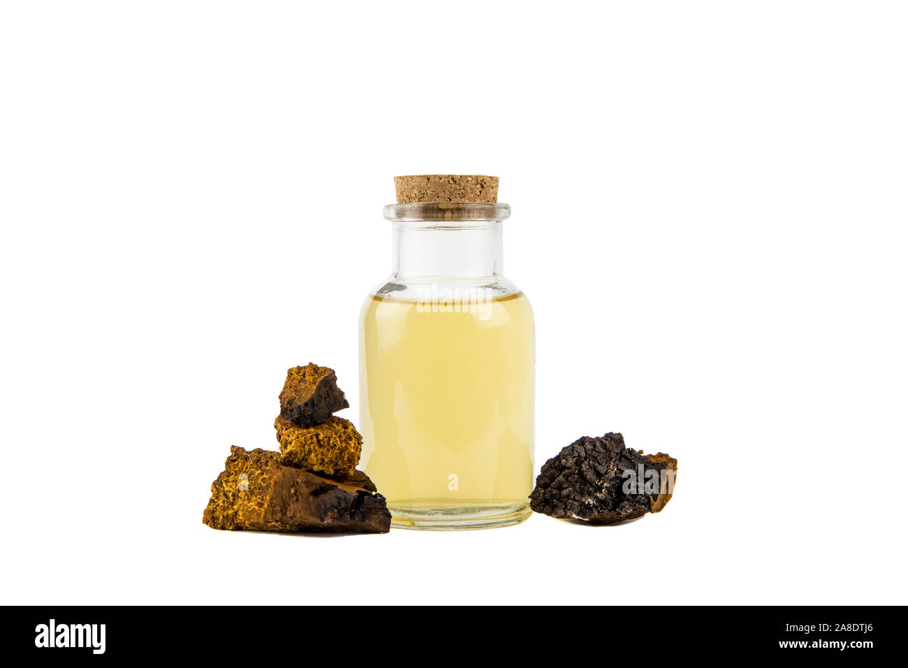 Pure wild natural chaga, Inonotus obliquus mushroom pieces and filtered mushroom mixture in bottle isolated on white background. Gathered from birch t Stock Photo