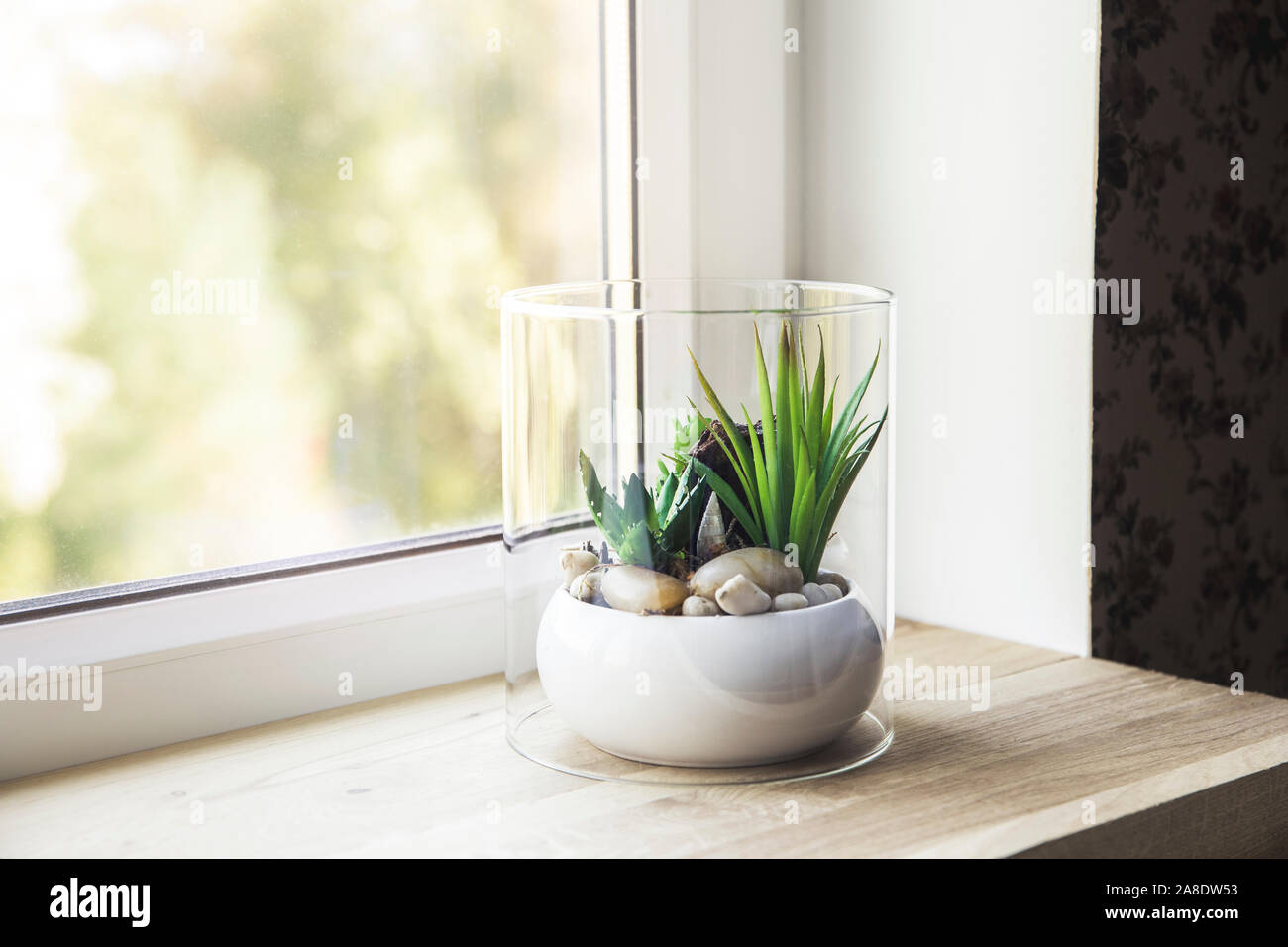 Catalog images hires stock photography and images Alamy