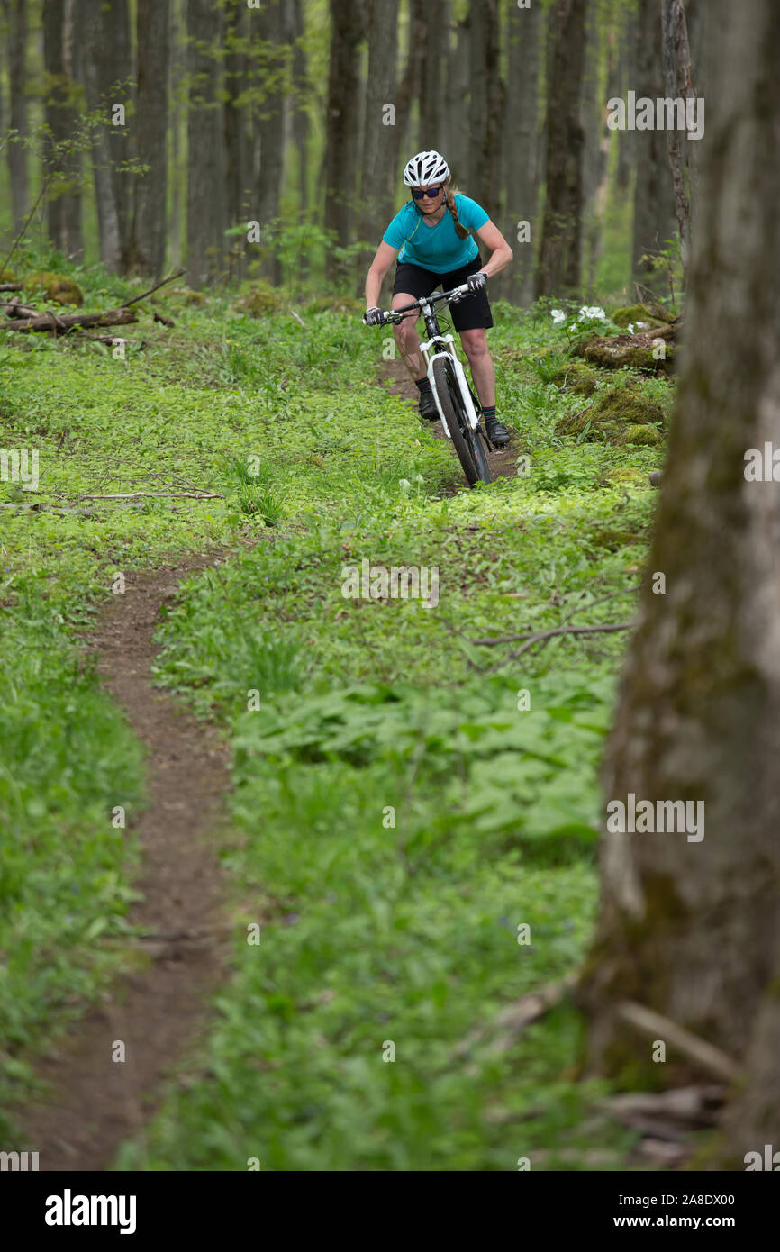 spring mountain biking