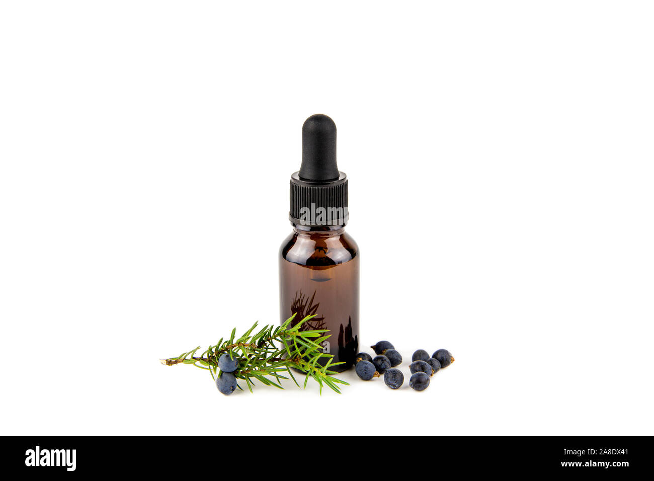 Juniper latin Juniperus communis berry essential oil in brown dropper bottle, juniper tree branch with confier cones and berries scattered around, iso Stock Photo