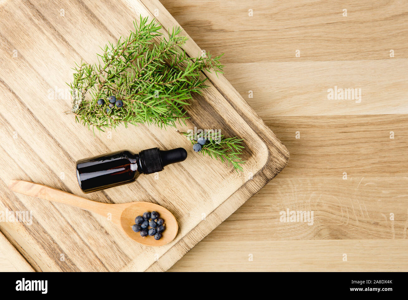 Flat lay view Juniper latin Juniperus communis berry essential oil in brown dropper bottle, juniper tree branch with confier cones and berries scatter Stock Photo