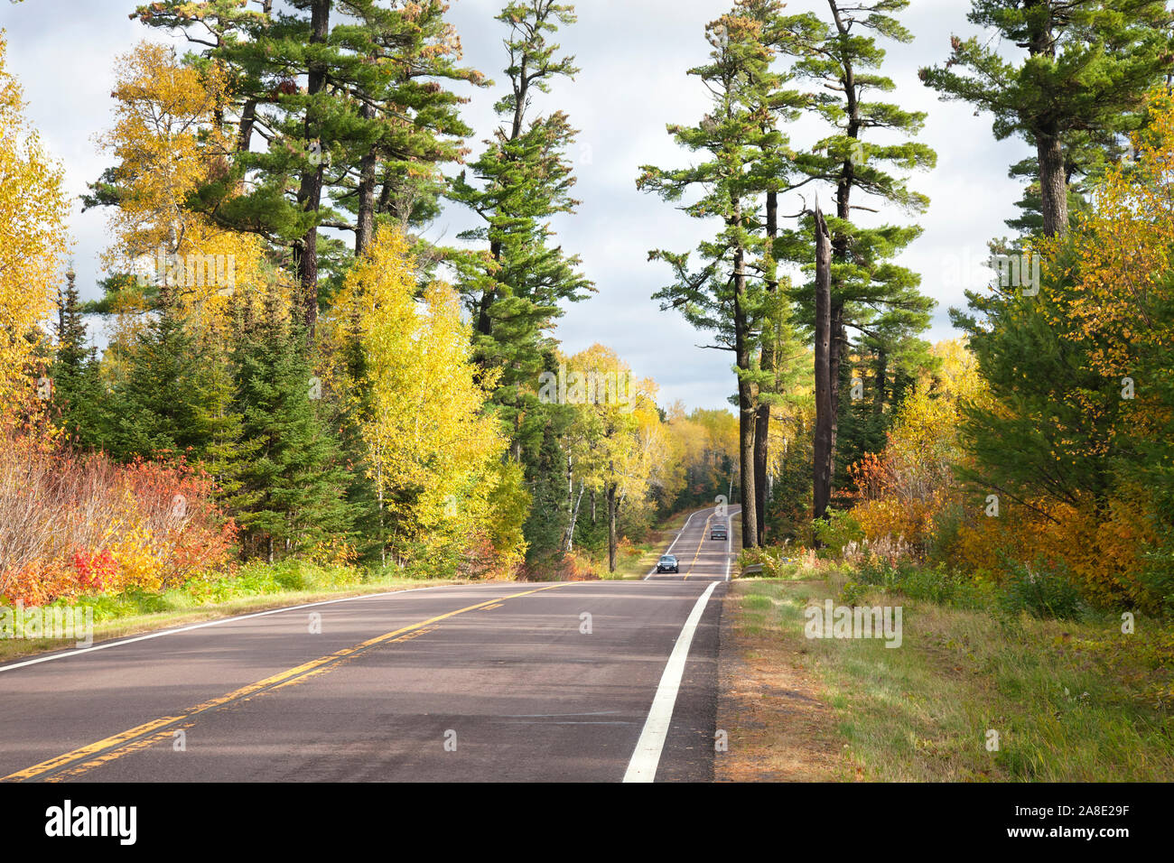 Cars drive on the Gunflint Trail among tall pines and autumn color Stock Photo