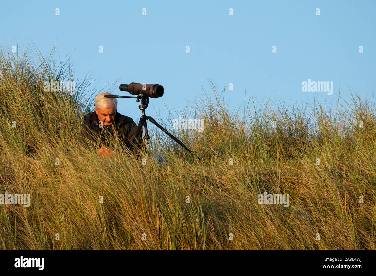 A birdwatcher in the dunes studies his notebook. Stock Photo