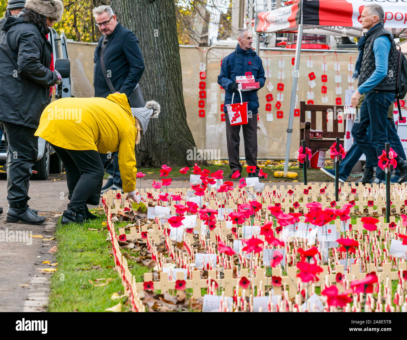 Princes Street Garden, Edinburgh, Scotland, United Kingdom, 8th November 2019. Edinburgh Remembrance Garden in the run up to Remembrance commemorations. The annual garden next to the Scott monument includes the Field of remembrance where members of the public and organisations can plant a poppy cross Stock Photo