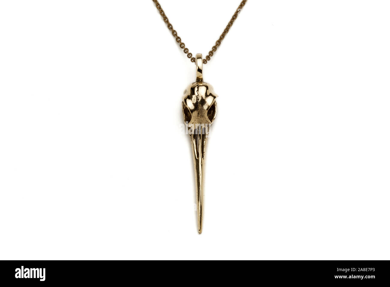 Brass hummingbird skull necklace pendant. Stock Photo