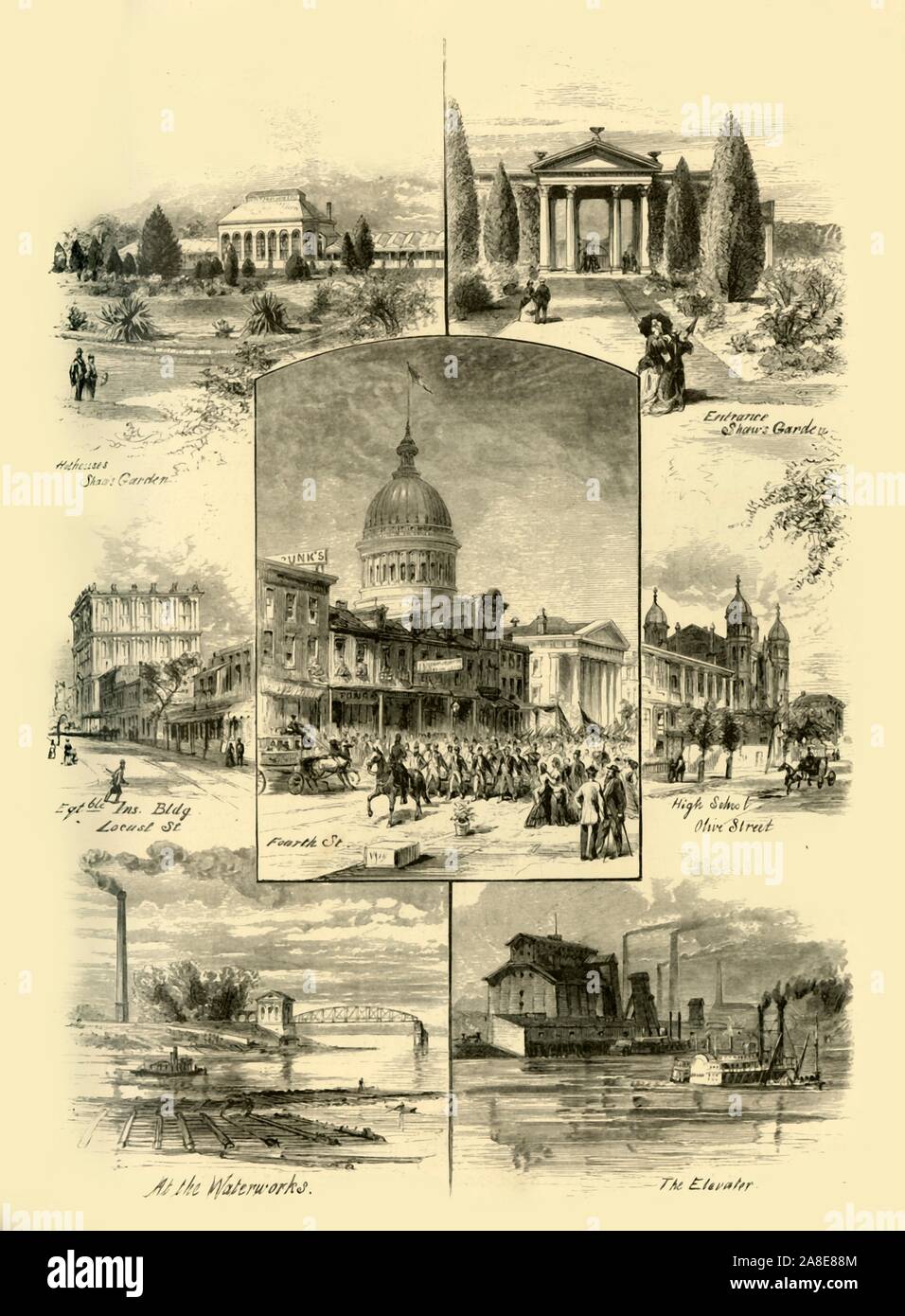 Scenes In St Louis 1874 Hothouses And Entrance To Shaw S