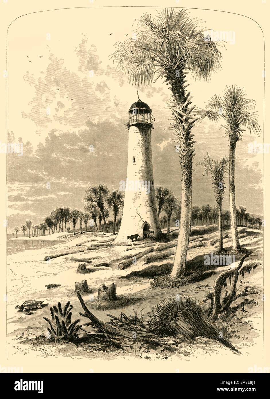 'Bar Lighthouse, Mouth of St. John's River', 1872. Derelict lighthouse on the coast of Florida, south eastern USA. 'The first lighthouse was built in 1830 near the river's mouth...By 1835, the encroaching sea had undermined the lighthouse, and it was torn down and replaced by a second lighthouse' [shown here]. From &quot;Picturesque America; or, The Land We Live In, A Delineation by Pen and Pencil of the Mountains, Rivers, Lakes...with Illustrations on Steel and Wood by Eminent American Artists&quot; Vol. I, edited by William Cullen Bryant. [D. Appleton and Company, New York, 1872] Stock Photo