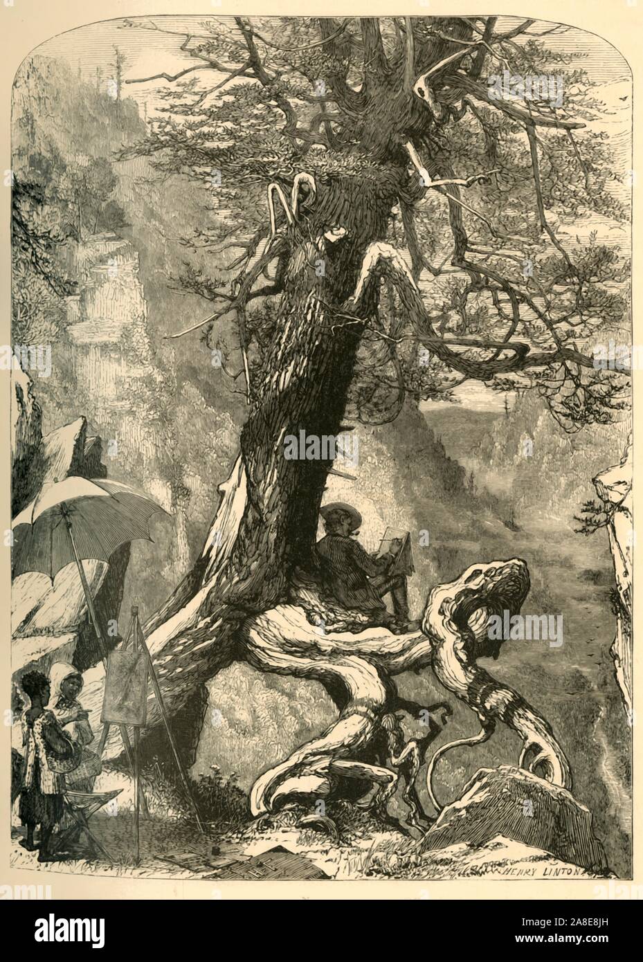 'Above the Natural Bridge', 1872. Artist sketching on a gnarled tree root above Natural Bridge, a rock arch in Virginia, USA. From &quot;Picturesque America; or, The Land We Live In, A Delineation by Pen and Pencil of the Mountains, Rivers, Lakes...with Illustrations on Steel and Wood by Eminent American Artists&quot; Vol. I, edited by William Cullen Bryant. [D. Appleton and Company, New York, 1872] Stock Photo