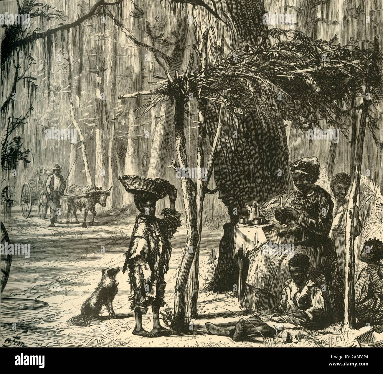 'A Road-side Scene near Charleston', 1872. Poor blacks in South Carolina, USA. Slavery had only been abolished in 1863, fewer than ten years before this picture was made. From &quot;Picturesque America; or, The Land We Live In, A Delineation by Pen and Pencil of the Mountains, Rivers, Lakes...with Illustrations on Steel and Wood by Eminent American Artists&quot; Vol. I, edited by William Cullen Bryant. [D. Appleton and Company, New York, 1872] Stock Photo