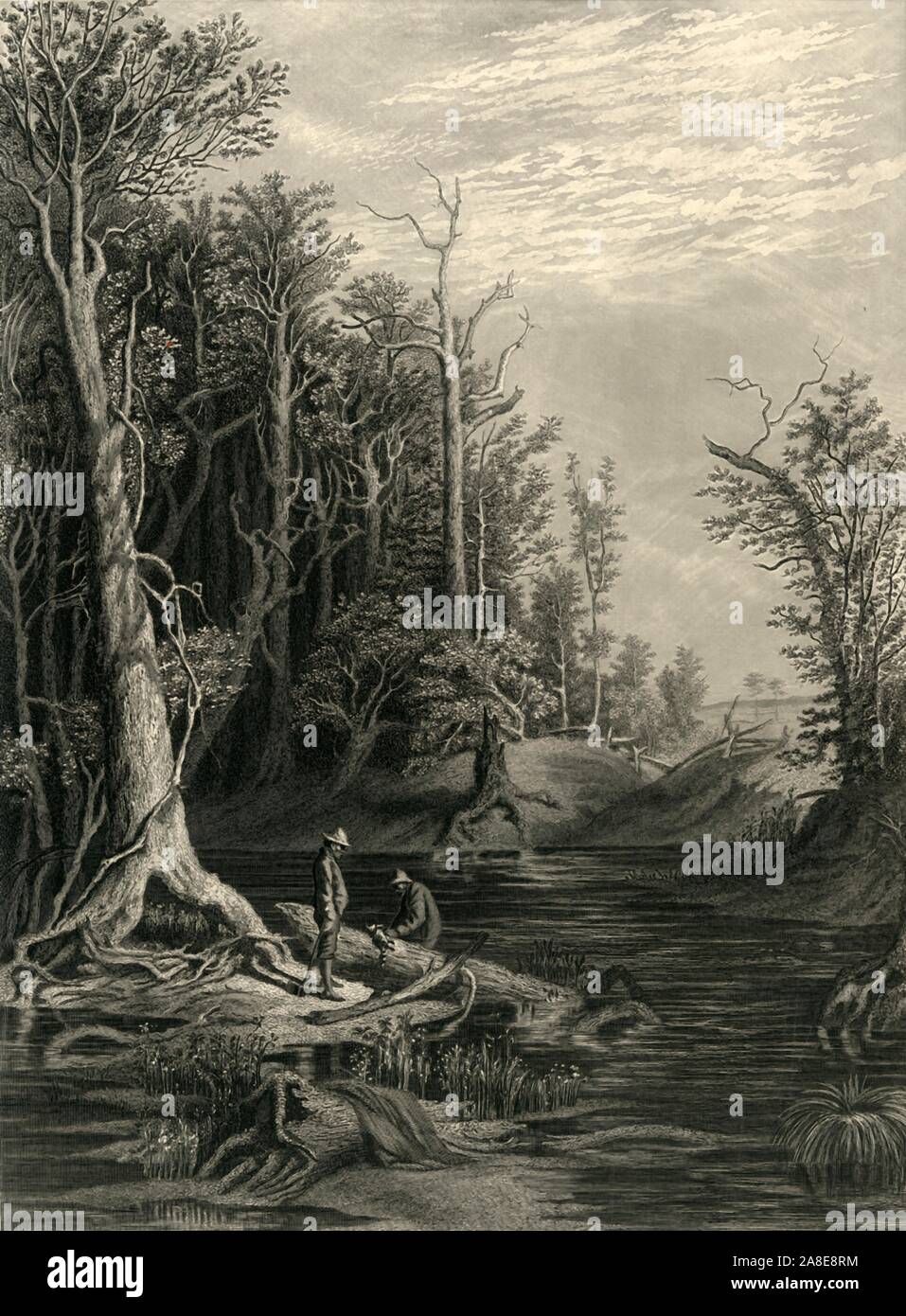 'The Chickahominy', 1872. River in eastern Virginia, USA: 'The Chickahominy is the chosen abode of all the known varieties of &quot;varmints&quot; of that region. The raccoon can here ply his trade of fisherman for the cat-fish and pike, or raid upon sleeping creepers or young wood-ducks'. From &quot;Picturesque America; or, The Land We Live In, A Delineation by Pen and Pencil of the Mountains, Rivers, Lakes...with Illustrations on Steel and Wood by Eminent American Artists&quot; Vol. I, edited by William Cullen Bryant. [D. Appleton and Company, New York, 1872] Stock Photo