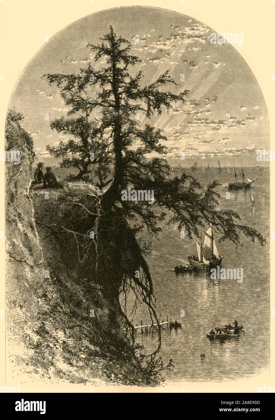 'Lake Erie, from Bluff, Mouth of Rocky River', 1872. Exposed tree-roots on a headland overlooking Lake Erie, near Cleveland, Ohio, USA. From &quot;Picturesque America; or, The Land We Live In, A Delineation by Pen and Pencil of the Mountains, Rivers, Lakes...with Illustrations on Steel and Wood by Eminent American Artists&quot; Vol. I, edited by William Cullen Bryant. [D. Appleton and Company, New York, 1872] Stock Photo