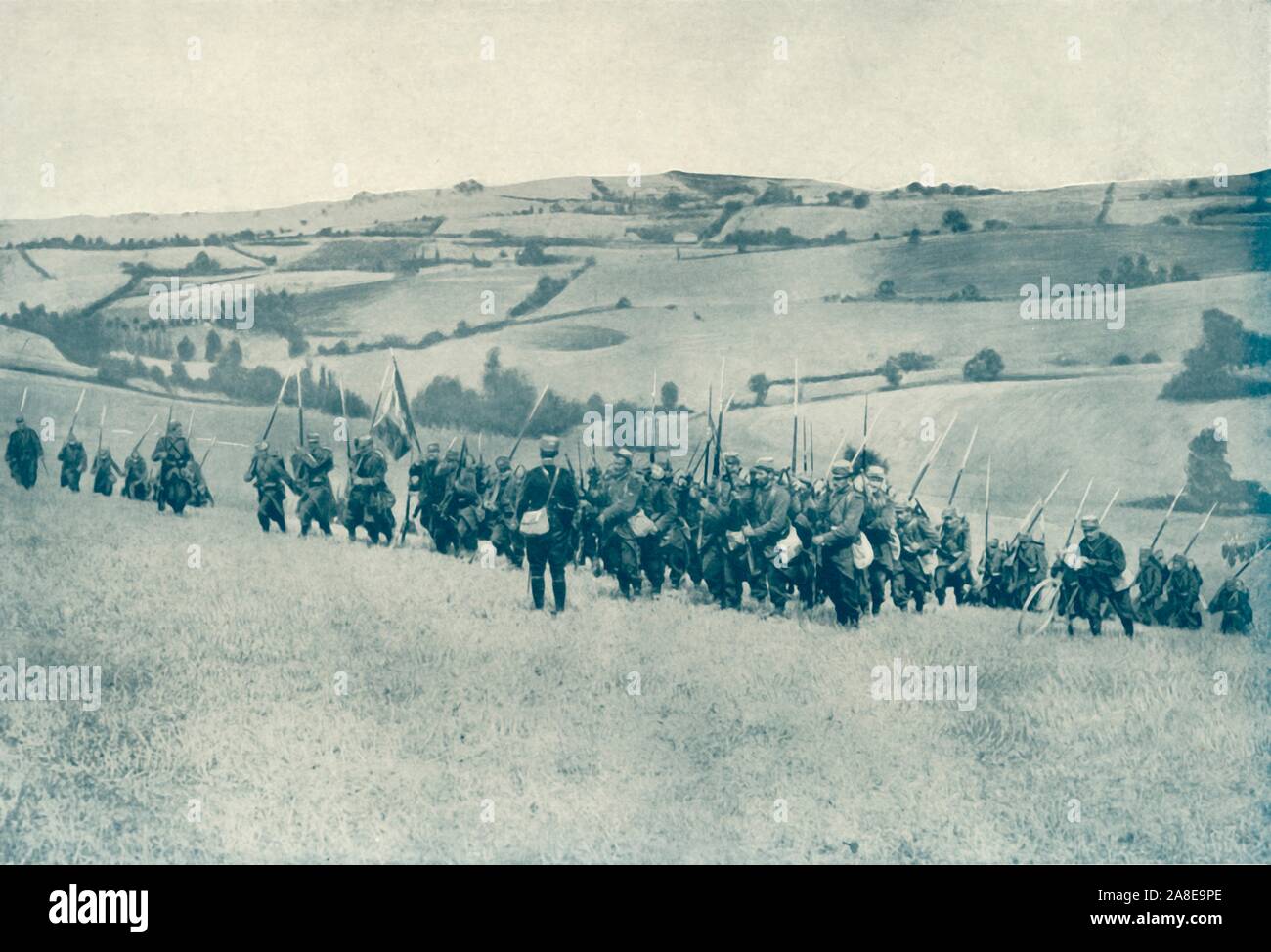 French infantry ww1 bayonet hi-res stock photography and images - Alamy